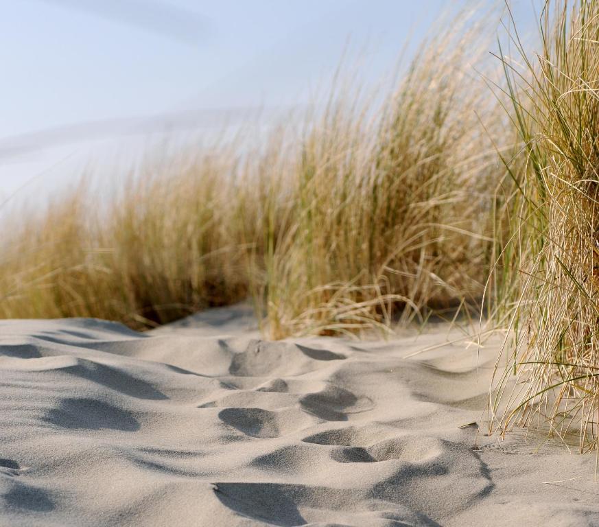 Fletcher Landgoedhotel Renesse Rom bilde